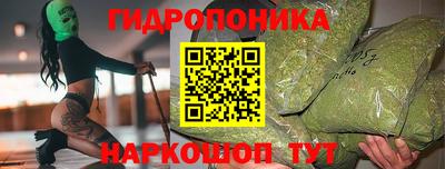 крисы Малоярославец