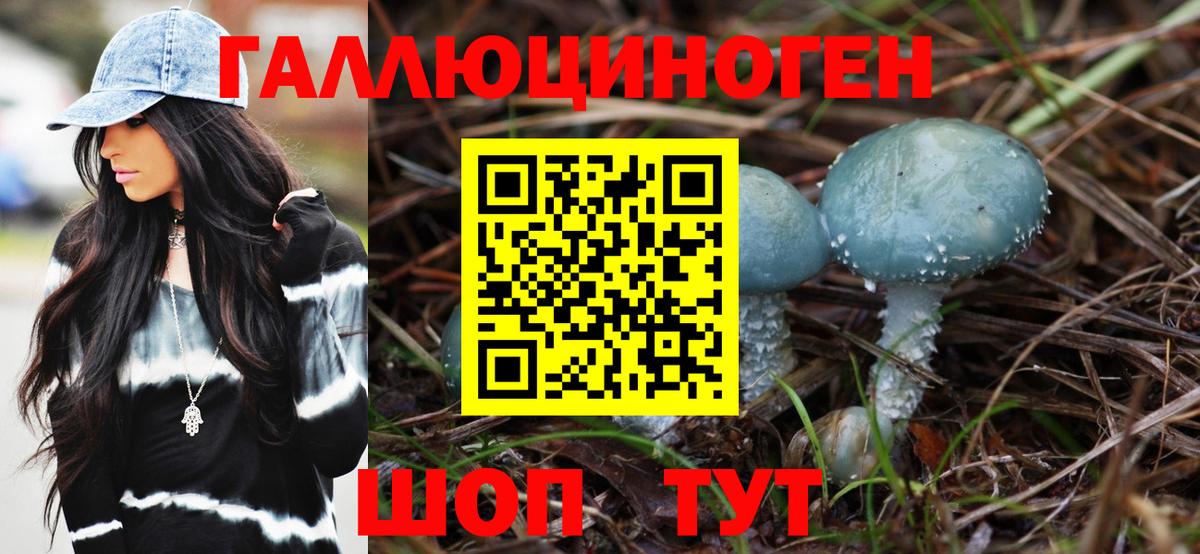 Псилоцибиновые грибы GOLDEN TEACHER  Вход с VPN  Горячий Ключ 
